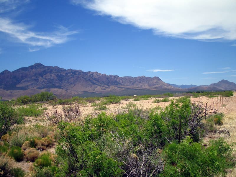 The rugged Chiricahua Mountains rising above desert scrub in the San Simon Valley under a blue sky